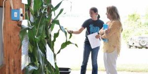 4-Her talking to a judge about her corn project